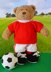Teddy Bear Clothes Ready for Football