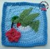 Humming Bird /Dove Afghan Square