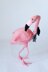 Pink flamingo