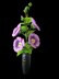 Crochet Hollyhocks flowers