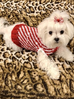 Peppermint Puppy Dog Sweater