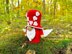 Gnome red Valentine with wings