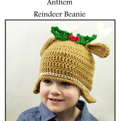 Reindeer Beanie in Cascade Anthem - W740 - Downloadable PDF