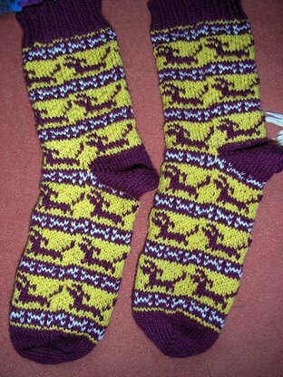 Dachshound sock pattern