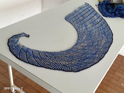 Circinae shawl