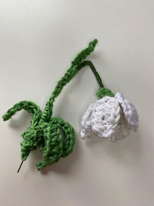 Nana's Snowdrop Flowers