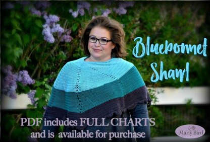 Bluebonnet Shawl