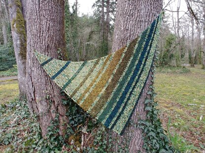 Ned's Dye-Pot Shawl