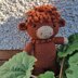 Harry Highland Cow