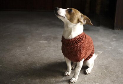 Free knitting pattern clearance for large dog coat