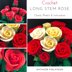 Long Stem Rose