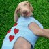 Valentine Heart Dog Jumper