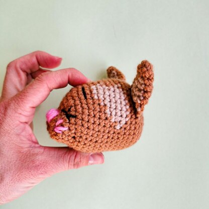 Bonti Cat Rattle