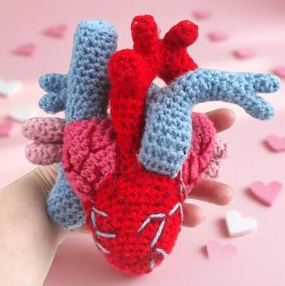 Anatomical Heart