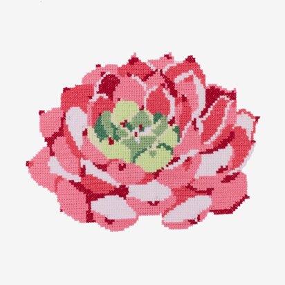 Pink Echeveria Succulent in DMC - PAT0560 - Downloadable PDF