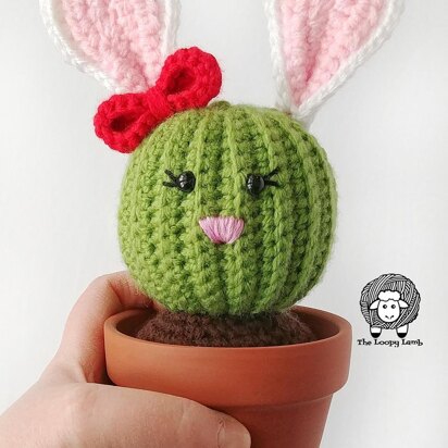 Penny the Bunny Cactus