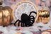 Deramores Spider and Web PDF