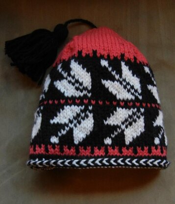 Telemark Ski Hat