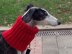 Eccentric Rib Greyhound Neck Snood