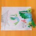 Hummingbird (Be magic)Bird
