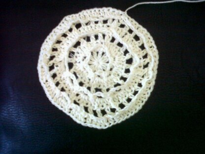 Paddle Wheel Dishcloth