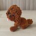 Poodle toy, teacup
