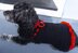 Crochet Pattern for the Dog Dress "Chic"