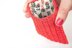 The Credit Card Purse & Coin Purse