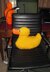 Rubber Duck (Ducky) Pillow (Cushion)