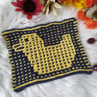 Lucky Ducky Dishcloth