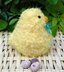 Fluffy Chick - Chocolate Orange Cover