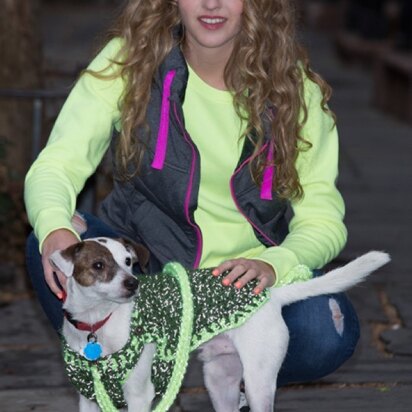 Flashy Dog Sweater and Leash in Red Heart Reflective - LW4143