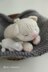 Cat and little kittens -KITTEN knitting pattern