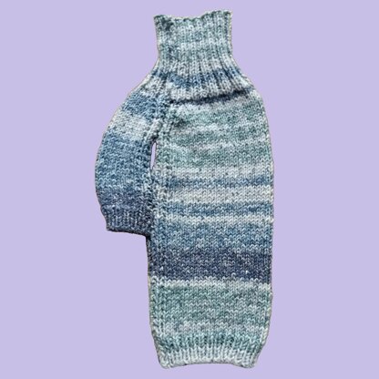 Blue Ridge Dog Coat
