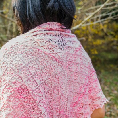 Āio Shawl