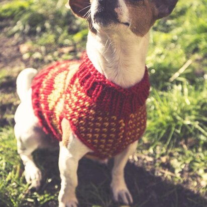 And Juno Too - knitting pattern