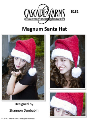 Santa Hat in Cascade Magnum - B181