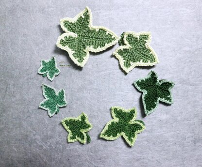 Variegated ivy leaves