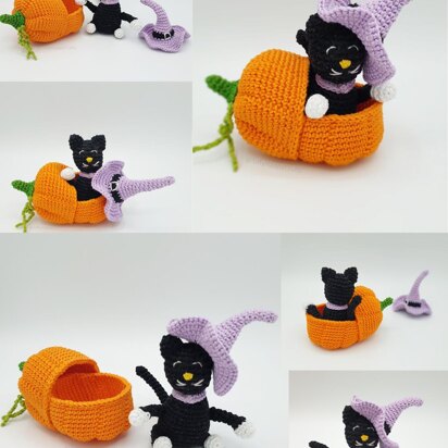 Black Cat in Pumpkin