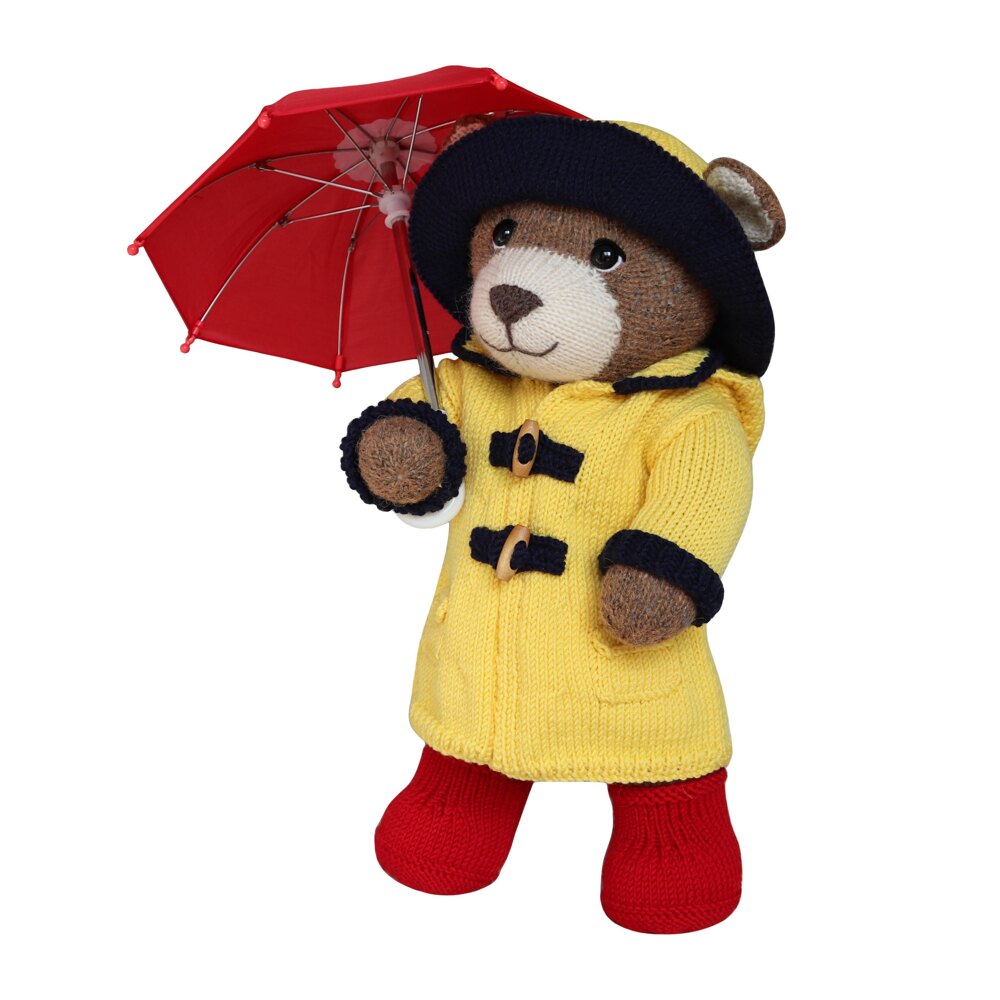 Teddy bear hot sale with raincoat