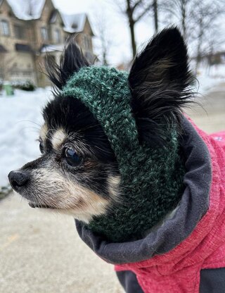 Techichi - The Chihuahua Hat