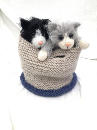 Kala Kitten and bag/basket