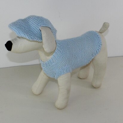 Small Dog 4 Ply Coat & Peak Cap