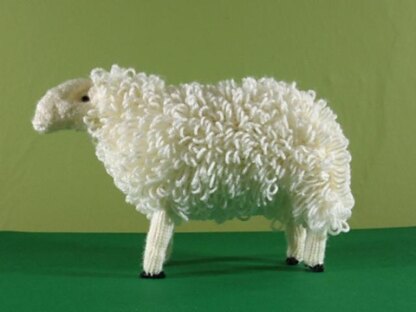 Welsh mountain sheep