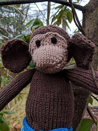 Monkey