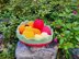 Scalloped Edge Basket