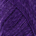 Boysenberry (5)
