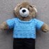 Cloud Blue Sweater for Teddy