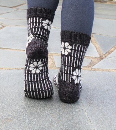 Phlox Socks