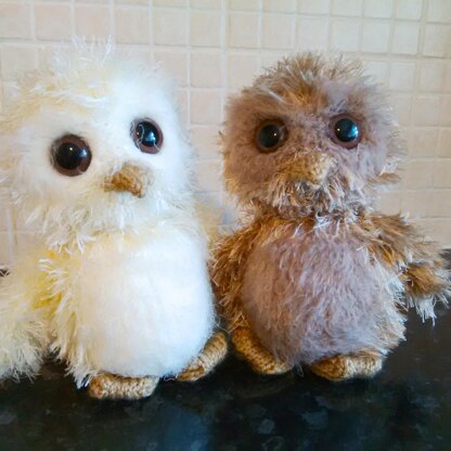 Owl Babies